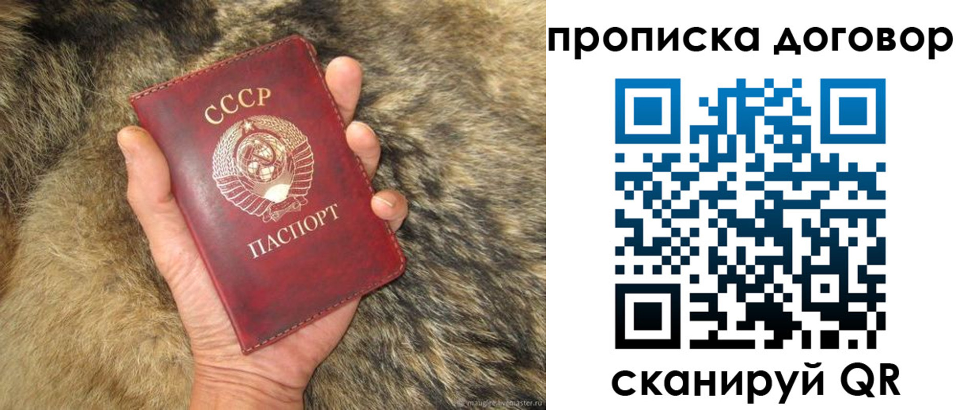 прописка регистрация в Лузе